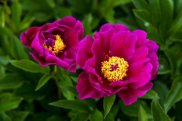 Comment le cyclisme contribue à la durabilité environnementale